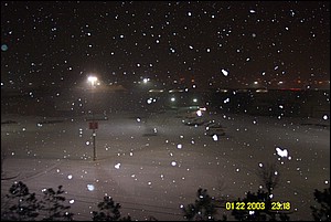 snow_1831.JPG